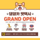 댕댕카 네이버블로그