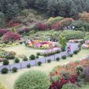 고요산책 이미지