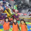 활기찬 용인대 KOREA 태권도 | 월피동에서 즐기는 즐거움과 건강, 두 마리 토끼를 한 번에 잡는 태권도