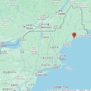 Good Forest 이미지