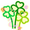 메디보니 이미지