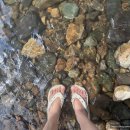 금시당 공용화장실 이미지