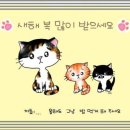 냥토피아 이미지