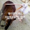 경진부분정비 | [취준일기] 5년 전의 나, 현재, 그리고 5년 뒤의 나