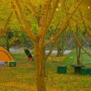 평안한치길 이미지