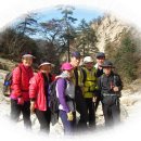 버스정류소_화곡역 이미지