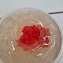 코코다방 | 빽다방 별빛망고피치에이드 후기 망고·복숭아 조합에 별빛 나타드코코까지