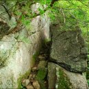 대성민박 이미지