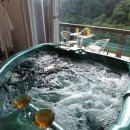 하니스파펜션 이미지