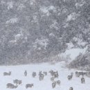 우현목장 이미지