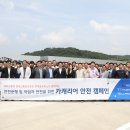 안전카 이미지