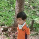 보은하다 | 충북 아기랑 가볼만한 곳 보은 속리산 세조길 아기랑 숲체험 후기