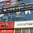 모여봐요 고양이 카페 이미지