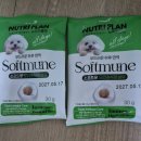 덴티플랜 | 펫앤모어 부산 서포터즈 팩 후기