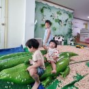 초록 초록 동물원🙈 서구 관저동 마음어린이집 이미지