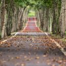 조경기능사 자격과정 이미지