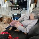 종려나무복지센터 이미지