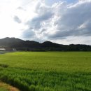 강형숙공인중개사사무소 이미지