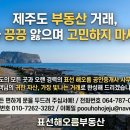 표선연세공인중개사사무소 네이버블로그