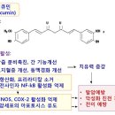 울금에 함유된 커큐민은 항산화 작용과 항염증 작용에 의해 암을 예방한다 이미지