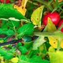 요동환경 이미지