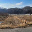 남선 농장 이미지