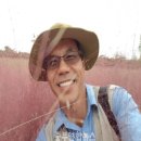 백제학연구소 이미지