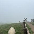 윤경목장 이미지