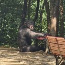 25세 동물병원 이미지