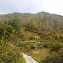 기린농협주유소 이미지