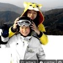 나 Daum카페