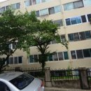 당리동-19 이미지