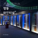 구리고등학교 | 영동 포도축제 와인터널｜충북 여행 가볼만한곳 솔직 후기 입장료·볼거리·주차 정보 총정리 🍷