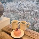 (주)데이뷰네트웍스 | 수원 벚꽃명소 수원 황구지천 벚꽃뷰 카페 도나스데이 벚꽃 엔딩 가능 4월 둘째주 벚꽃 후기