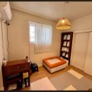 서른살나의펫 이미지