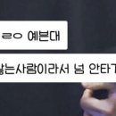 돼지여행