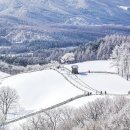 1.20,(토)/겨울낭만여행 월정사 전나무숲길&amp;대관령 양떼목장, 대관령눈꽃축제 신청하세요 이미지