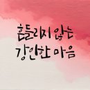 레푸스 이미지