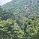 솔밭매점 - 충주시 첨단산업로 1438 | 솔밭캠프 평상 예약방법 평상자리 꿀팁 캠핑장 예약방법 청주 물깊은 계곡 추천 솔밭캠프 시설이용 후기