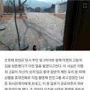 [단독] "조원태 회장, 모친 이명희 자택서 소란"..수면 위로 드러난 한진家 경영권 분쟁 이미지