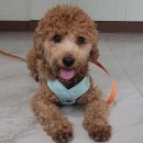 고은동물병원 이미지