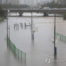 온천천일대7 이미지