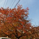 삼호동주민센터 이미지