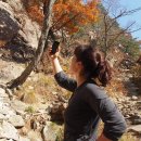 경래농장 이미지