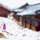 꽃님이