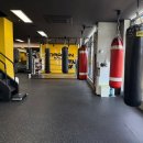 제로복싱 이미지