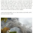 [속보]대전 '현대프리미엄아울렛' 화재…소방 대응2단계 이미지