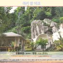 팜호텔 | 이포 록키 팜 호텔 후기 인생 숙소 등극! 이포 여행 추천