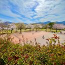 중앙공원(자전거교실) 이미지