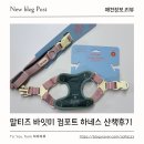 산책 | 강아지하네스추천, 2.7kg 말티즈 바잇미 컴포트 하네스 산책 후기